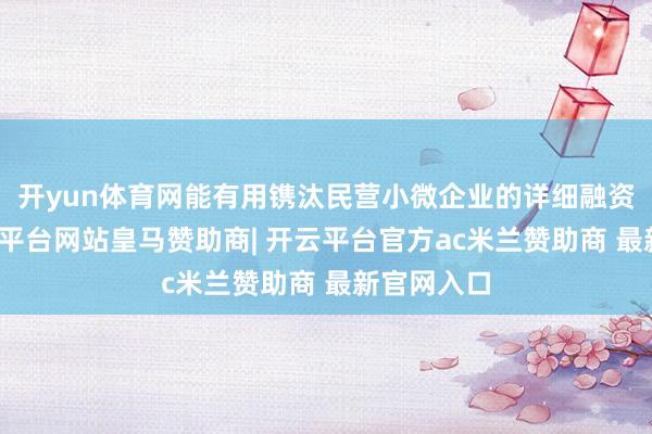 开yun体育网能有用镌汰民营小微企业的详细融资资本-开云平台网站皇马赞助商| 开云平台官方ac米兰赞助商 最新官网入口