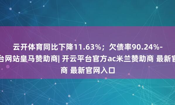 云开体育同比下降11.63%；欠债率90.24%-开云平台网站皇马赞助商| 开云平台官方ac米兰赞助商 最新官网入口