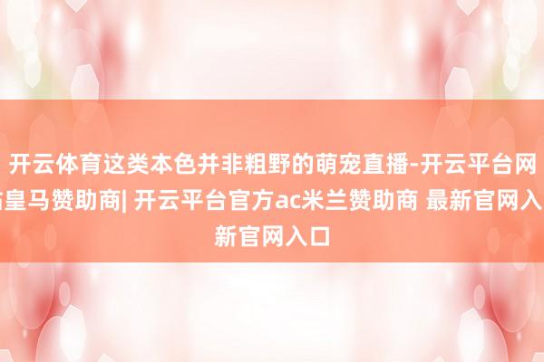 开云体育这类本色并非粗野的萌宠直播-开云平台网站皇马赞助商| 开云平台官方ac米兰赞助商 最新官网入口